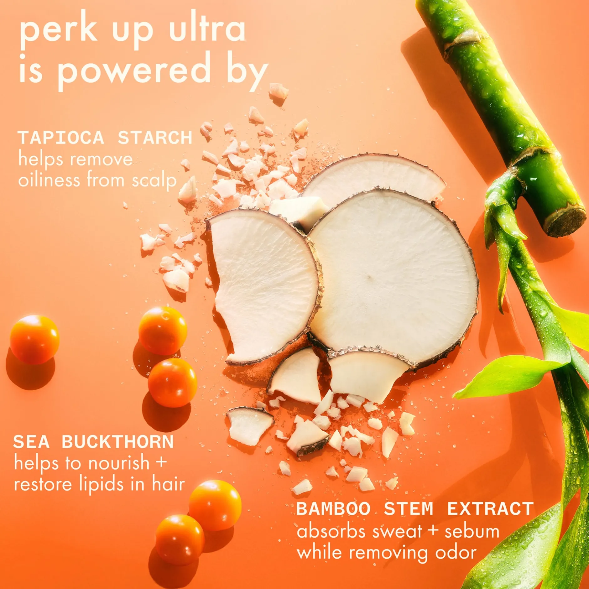 amika Perk Up Ultra Oil Control Dry Shampoo 245 ml