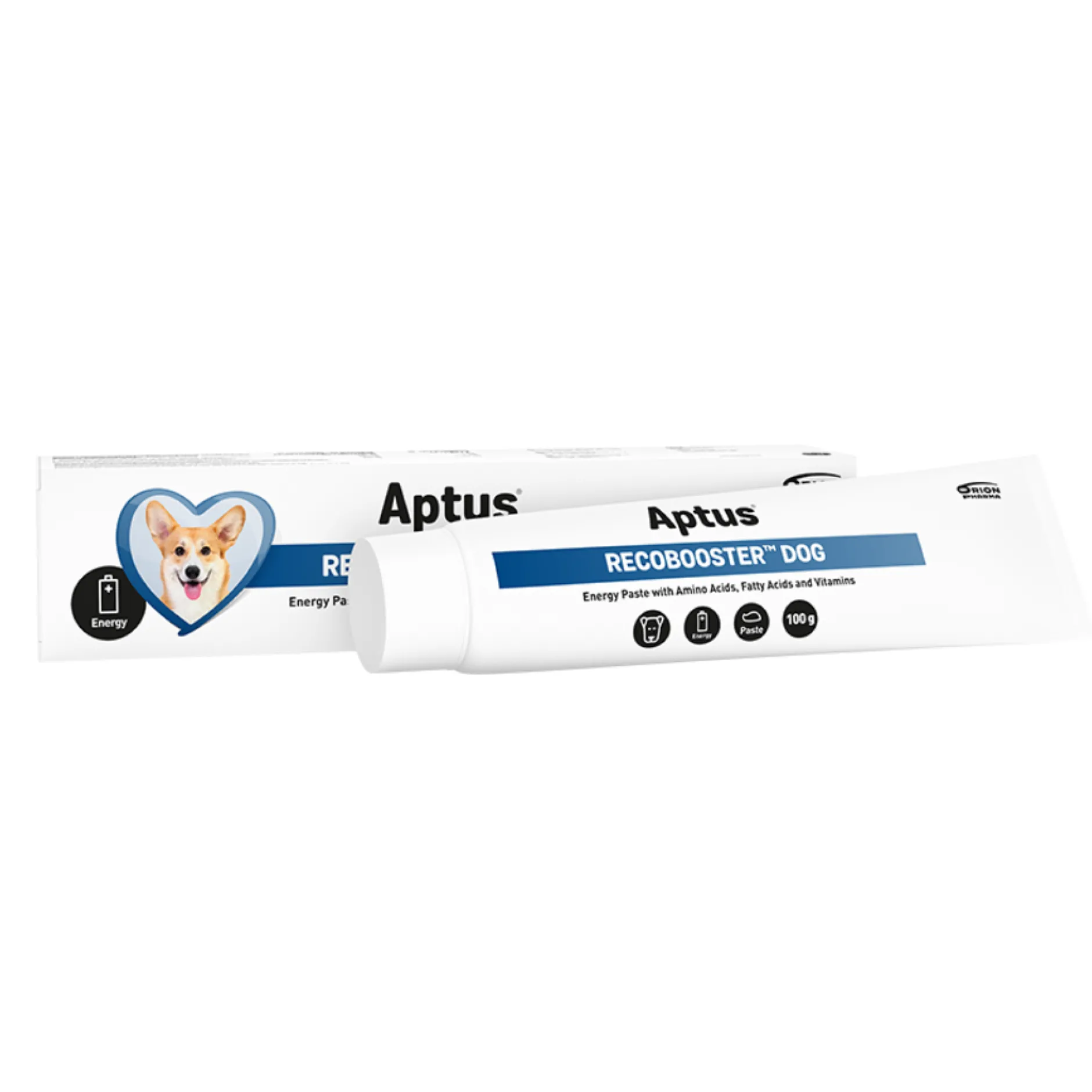 Aptus Recobooster Dog 100g
