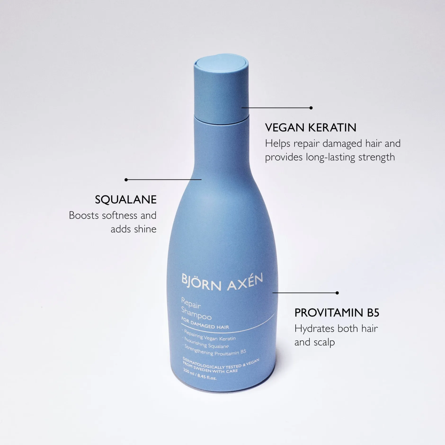 Björn Axén Repair Shampoo 250 ml