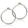 Blomdahl Örhängen NT Safety Ear Ring 12 mm 1 par