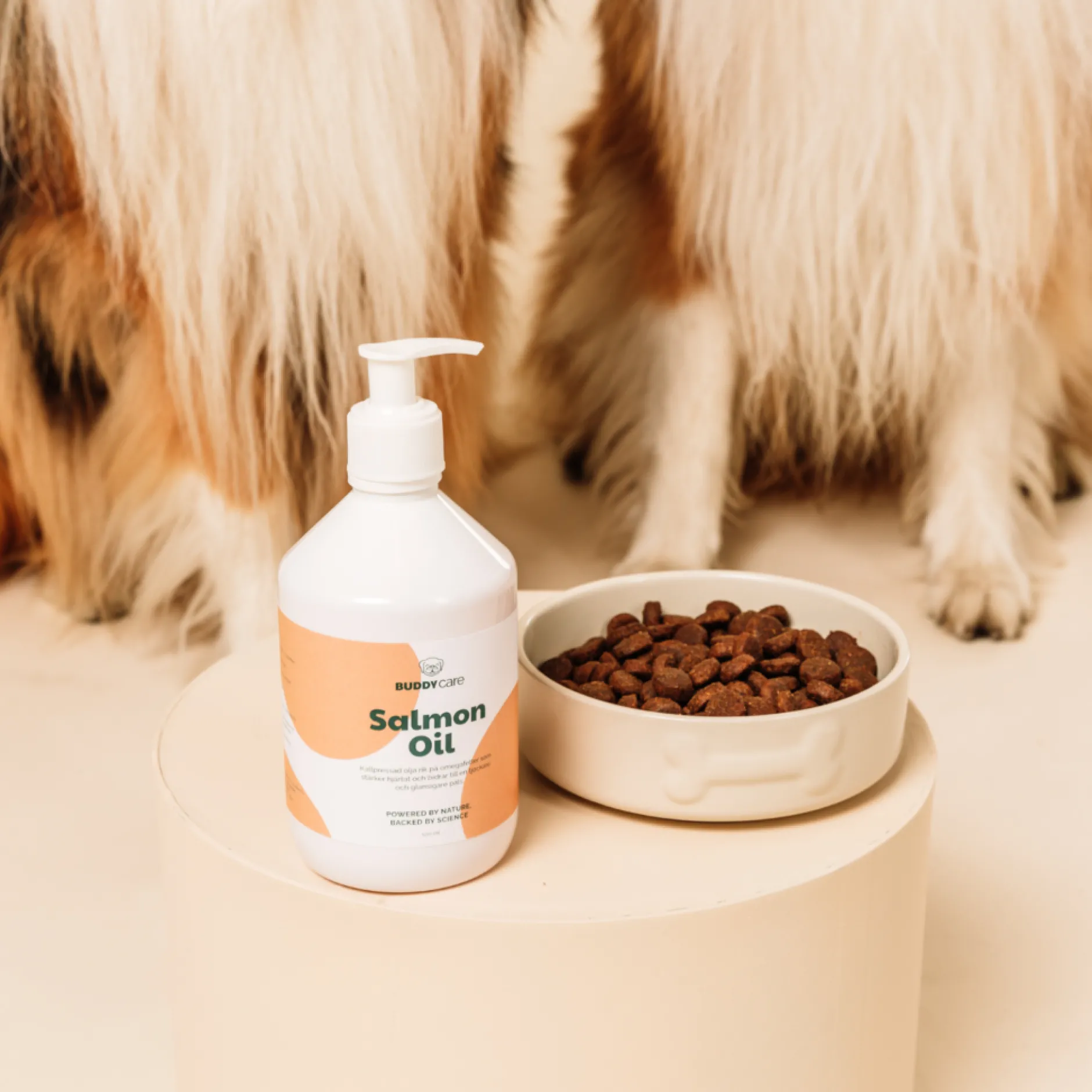 BUDDY Care Salmon Oil 500ml