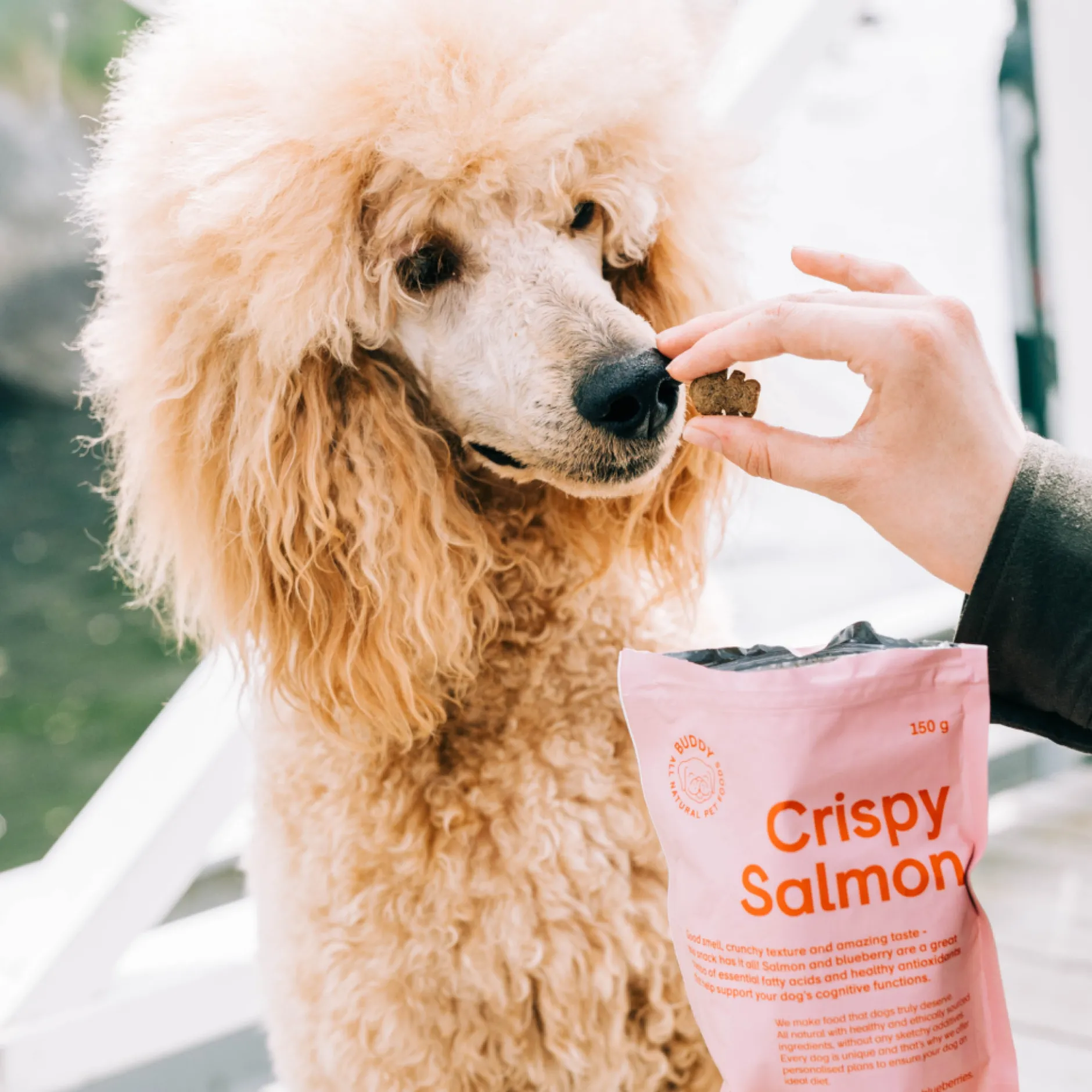BUDDY Crispy Salmon Hundgodis 150 g