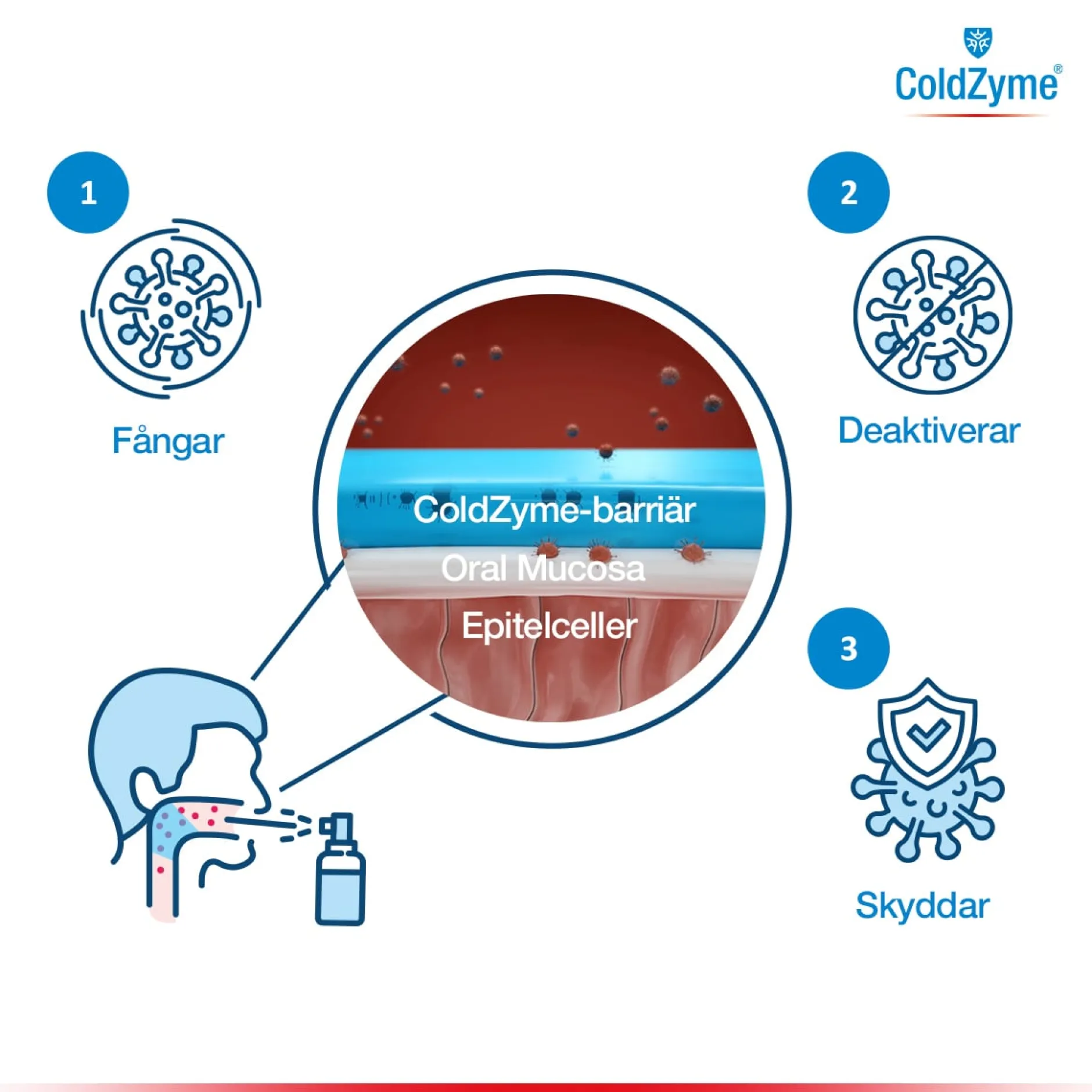 ColdZyme Munspray Mot Förkylning 20 ml