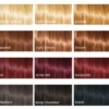 Cultivator's Organic Herbal Hair Color Auburn Copper 1 st