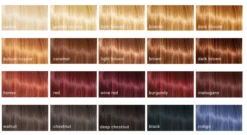 Cultivator's Organic Herbal Hair Color Caramel 1 st