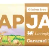 Flapjack Caramel Fudge 80g