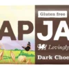 Flapjack Mörk Choklad & Ingefära 80 g