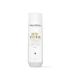 Goldwell Dual Senses Rich Repair Restoring Shampoo 250 ml