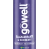 Gowell Svartvinbär Blåbär 330 ml