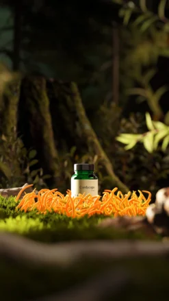 Great Earth Cordyceps 60 kapslar