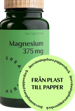 Great Earth Magnesium 375mg 100 tabletter