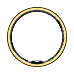 HAALE II - Gold 12