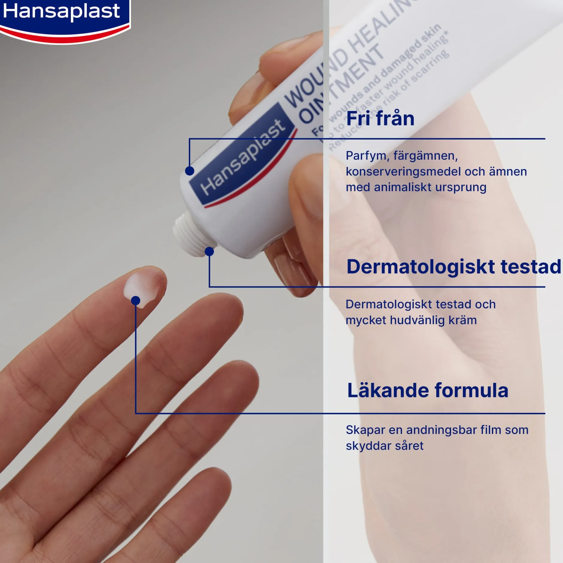 Hansaplast Wound Healing Ointment Salva 20 g