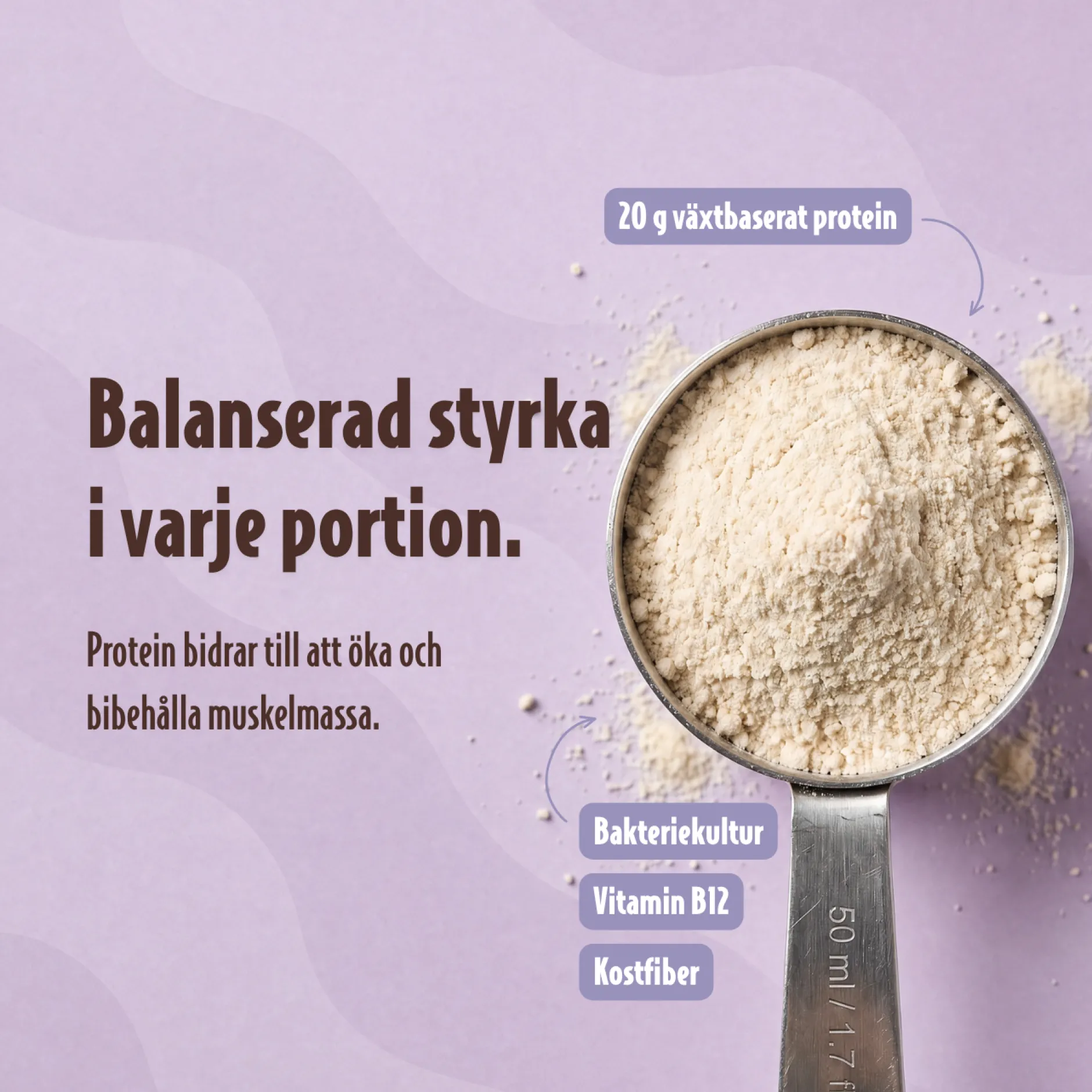 Heey! Protein & Biotics Vanilla 500 g