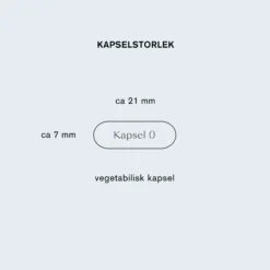 Holistic Blodsockerbalans 30 kapslar