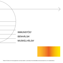 HolisticD3-vitamin 2000IE (50 µg) 90 vegetabiliska kapslar