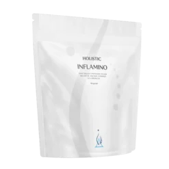 Holistic Inflamino 910 g