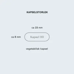 Holistic Multi-Immun 60 Vegetabiliska Kapslar