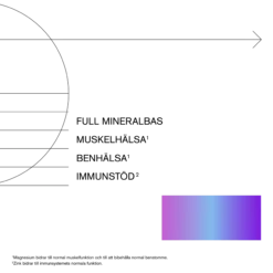 Holistic Multimineral 90 kapslar