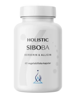 Holistic Siboba 60 vegetabiliska kapslar