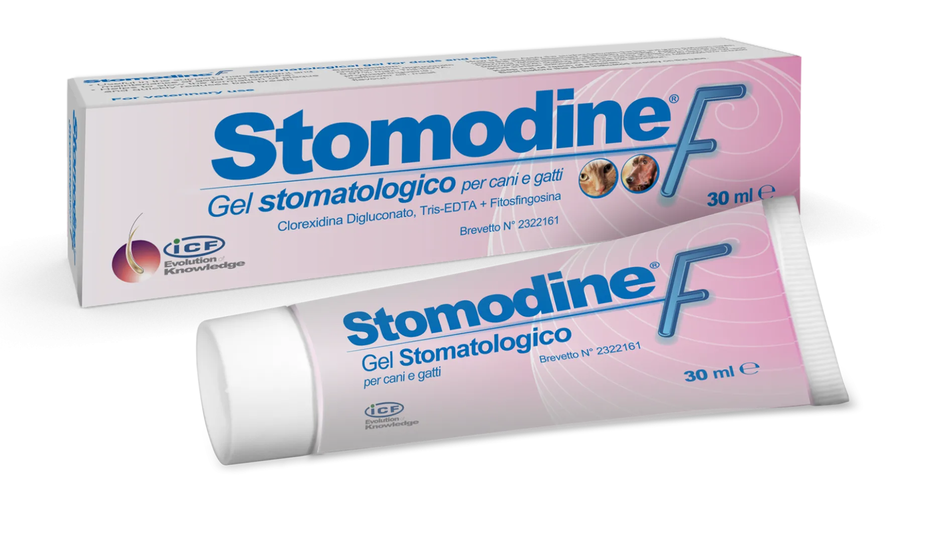 ICF Stomodine® F Oral Gel