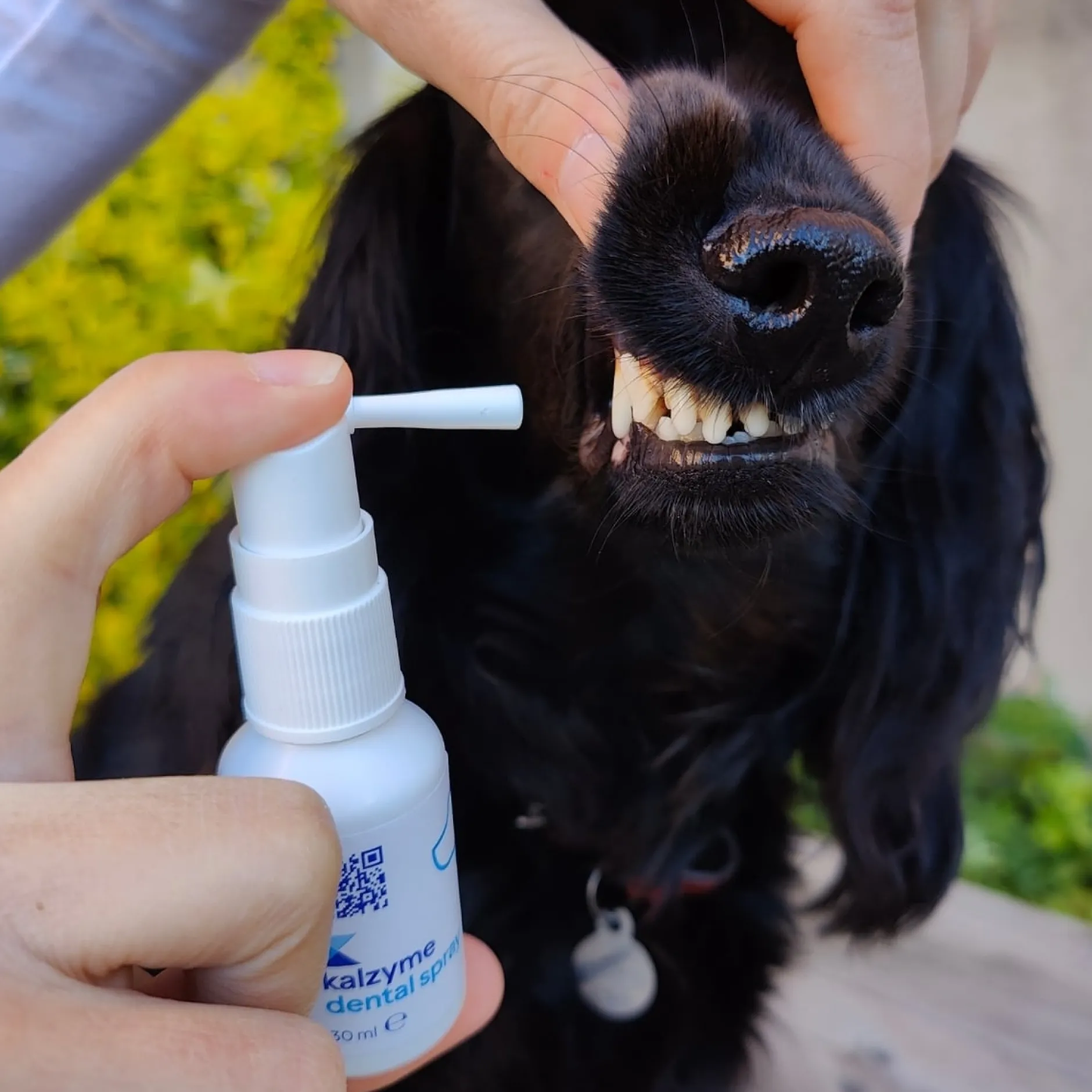 Kalzyme Dental Spray 30 ml