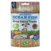 Little BigPaw Ocean Fish, Potato, Pumpkin, Coconut & Herbs 130 g