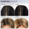 L'Oréal Paris Elvital Hyaluron Pure Schampo För Fuktfattigt Hår 500 ml