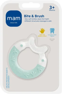 MAM Bite & Brush Bitring 3+ Månader 1 st - Olika färger