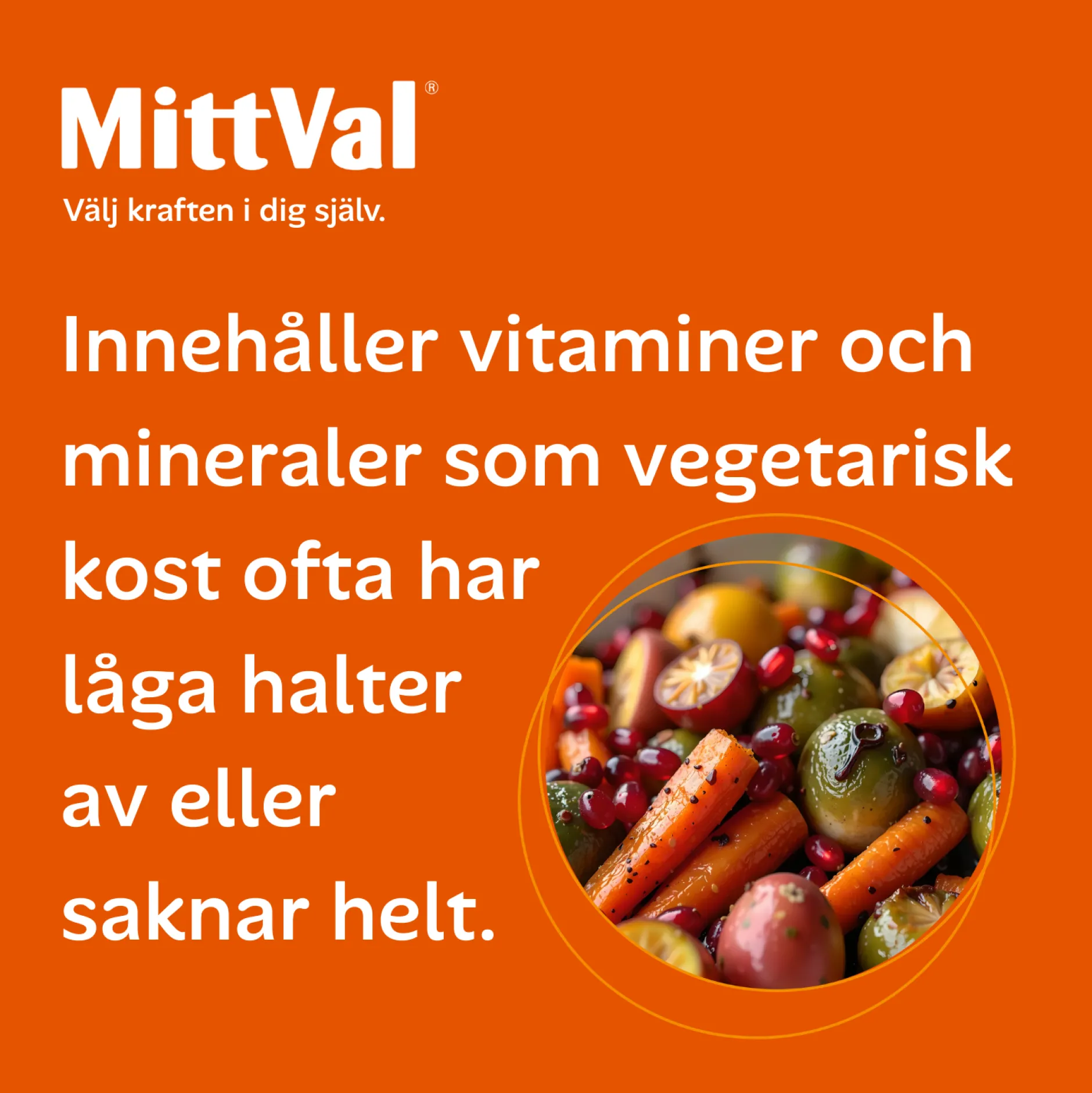 MittVal Vegetarian 100 tabletter