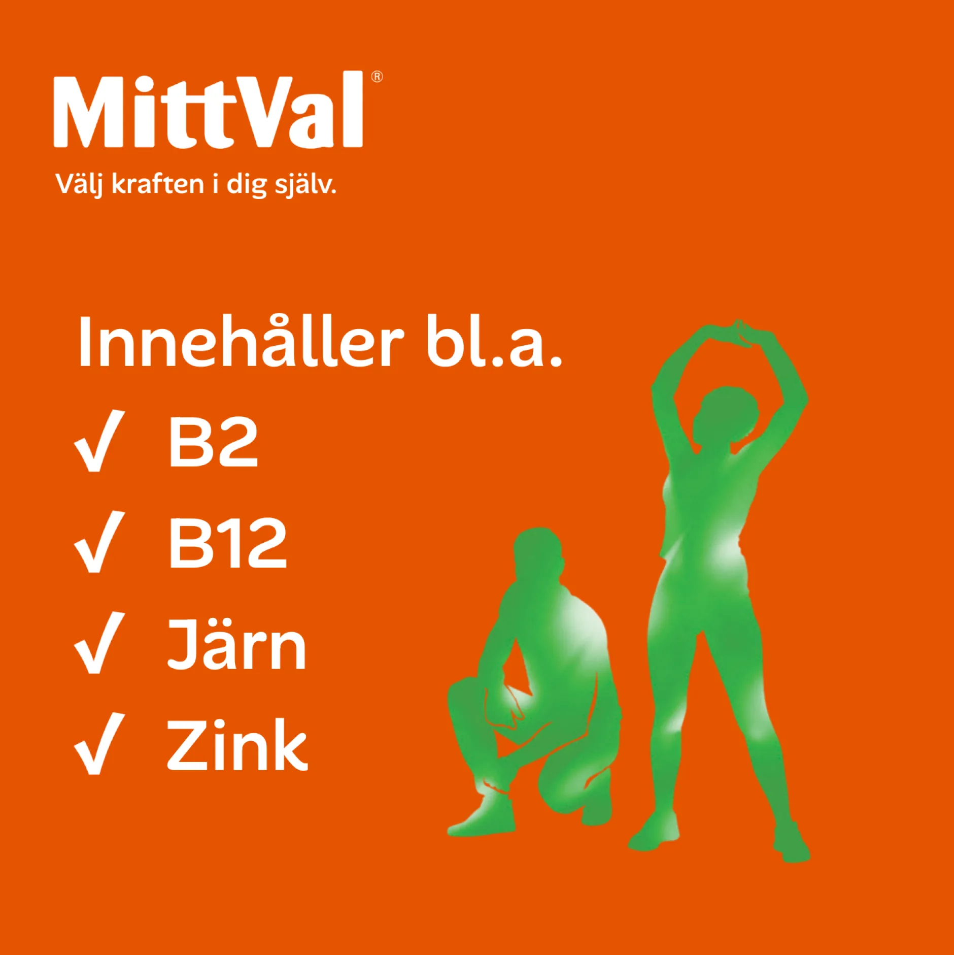 MittVal Vegetarian 100 tabletter