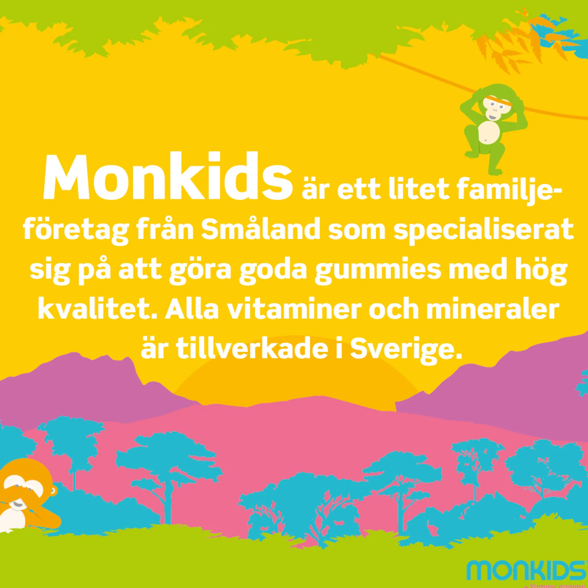 Monkids C-vitamin + Zink Barn Fruktsmak 60 tuggtabletter