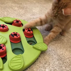 Nina Ottosson Cat Puzzle & Play Buggin Out