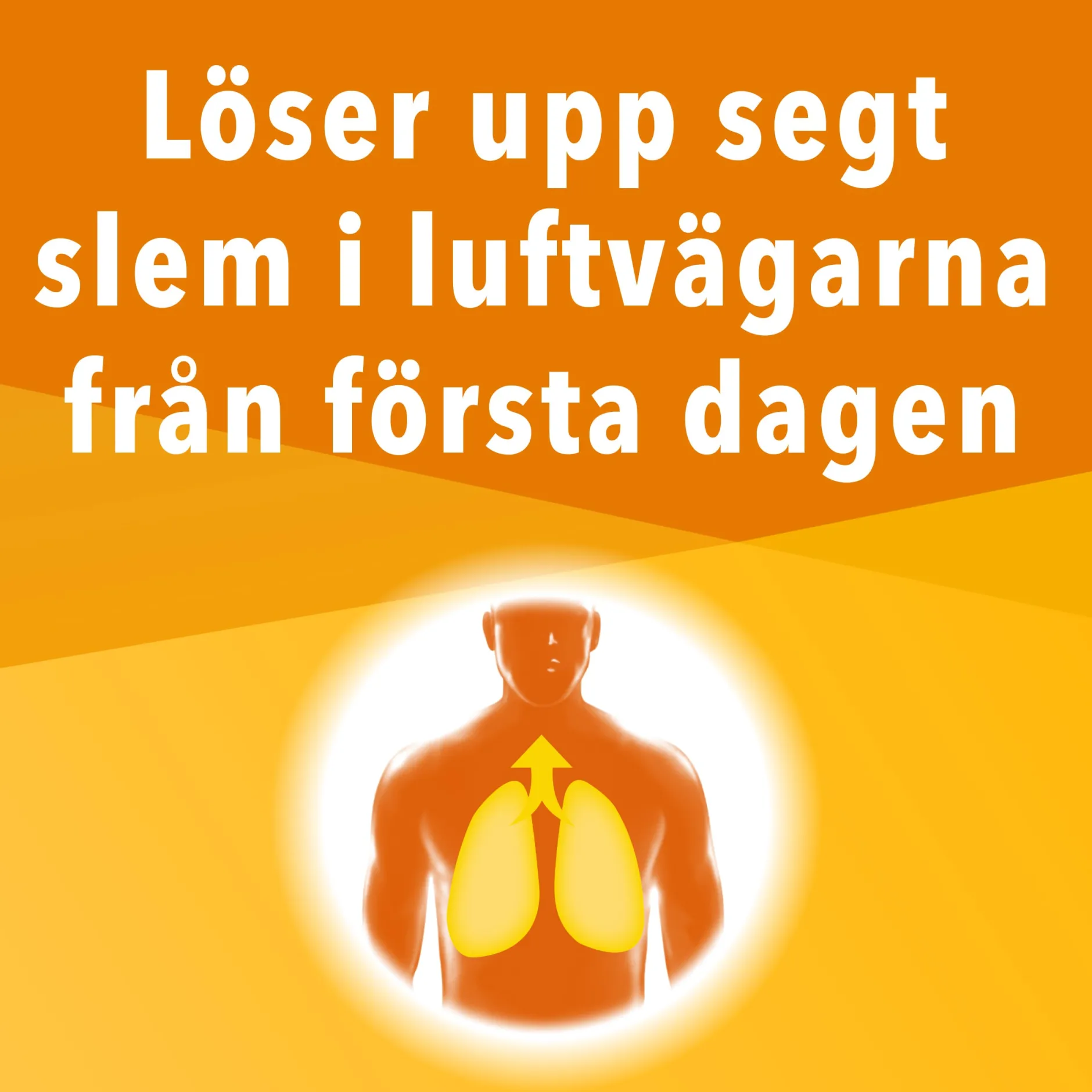 Nipenesin Sirap 20 mg/ml, 300 ml