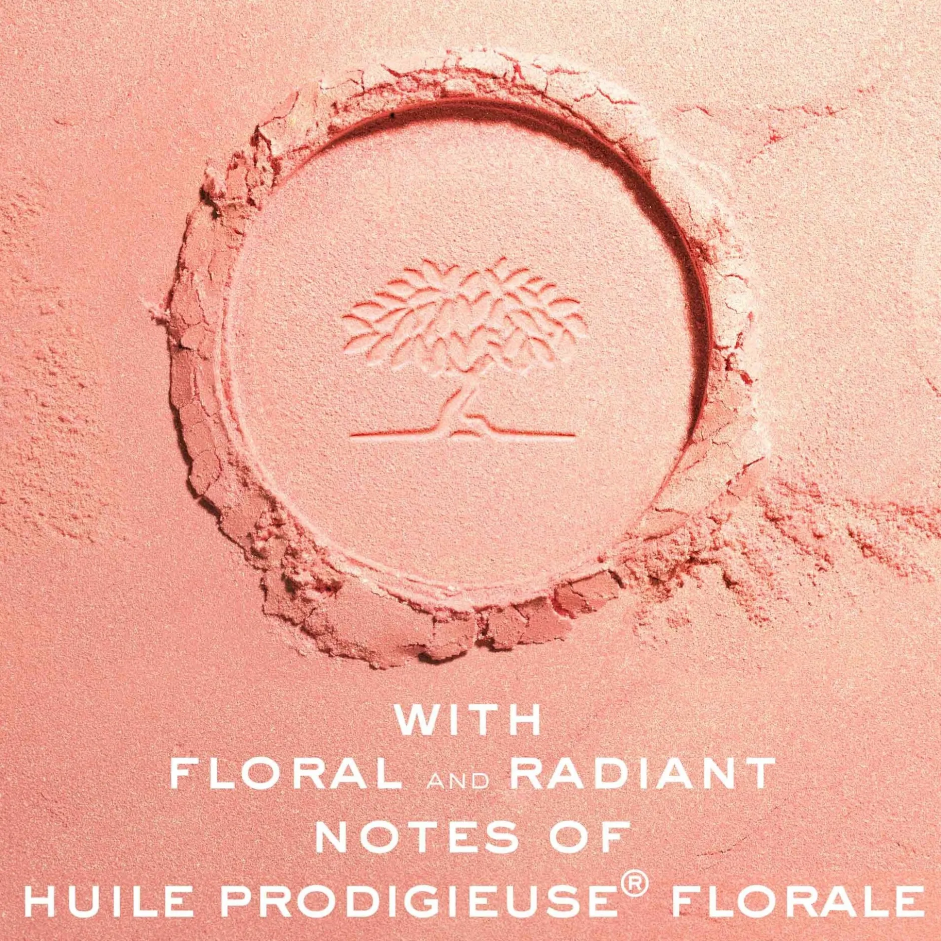 Nuxe Prodigieux La Poudre Eclat Illuminating 10 g
