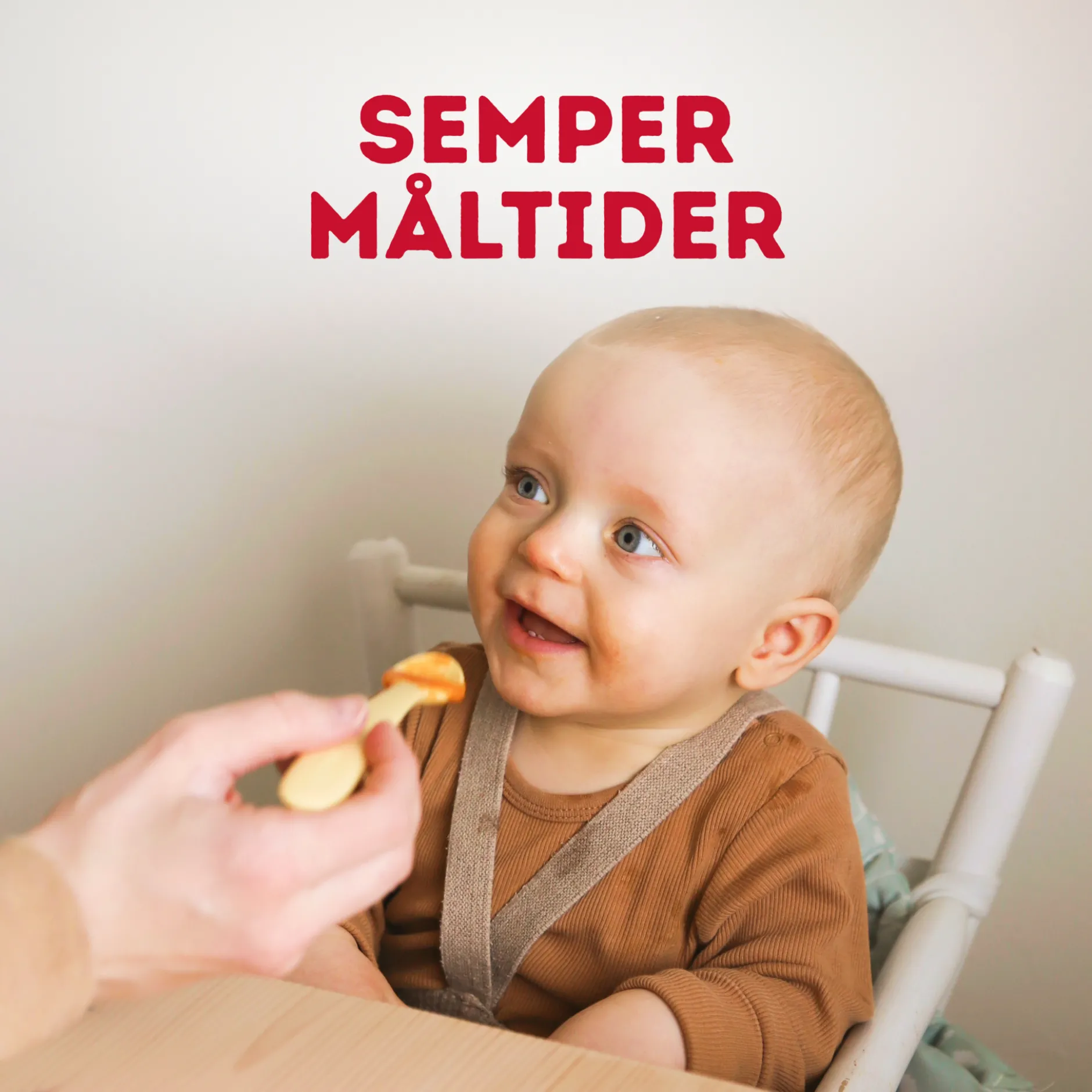 Semper Grönsaker Med Biff Från 6 månader