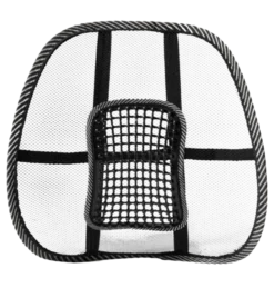 Swedish Posture BackRest Svankstöd