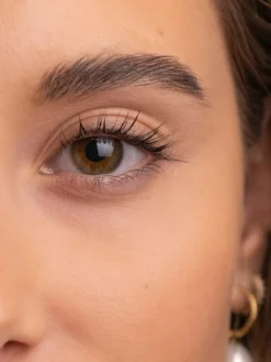 Sweed The Brow Serum