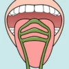 TePe Tongue Cleaner Tungskrapa 1-pack - Olika färger