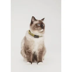 TICKLESS Pet Tick Repellent Mini Cat Black 1 st