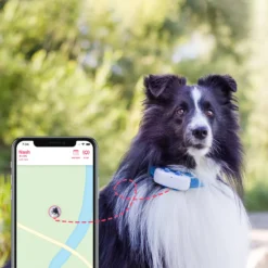 Tractive Dog GPS Tracker LTE 1 st