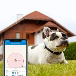 Tractive Dog GPS Tracker LTE 1 st