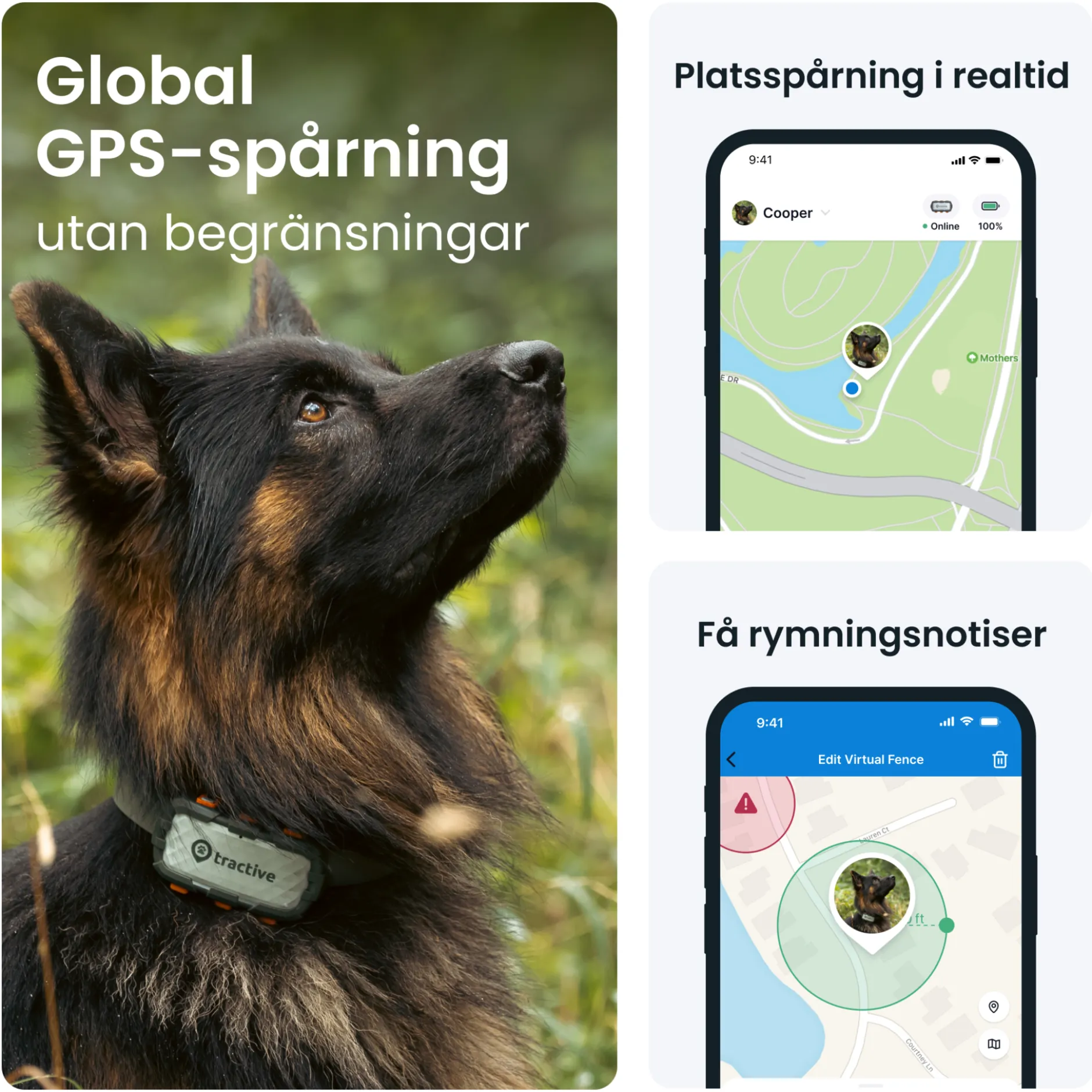Tractive GPS DOG XL Adventure Edition 1 st