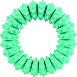 Trixie Denta Fun Ting Mintsmak Naturgummi 12 cm 1 st