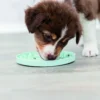 Trixie Junior Lick'n'Snack Platta 1 st