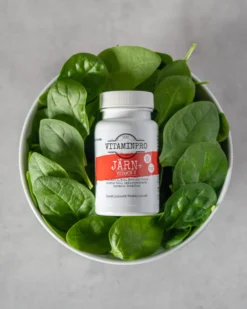 Vitaminpro Järn & Vitamin C 90 tuggtabletter